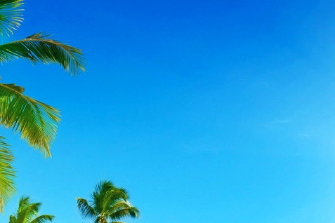 汕尾粉象生活怎么样