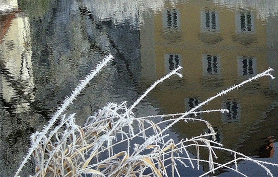 粉象生活官网邀请码