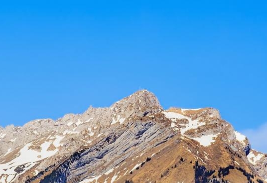 到底什么是粉象生活