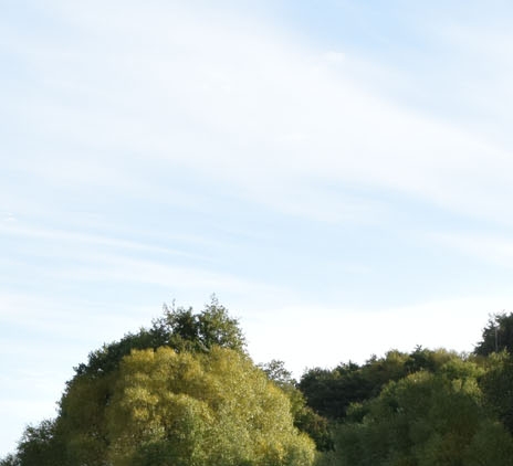 粉象生活怎么用淘宝