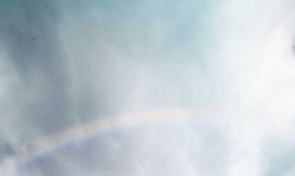 下载粉象生活怎么填写邀请码