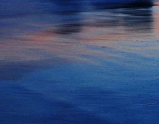 粉象生活骗局?揭密很多人被骗!说说他们的亲身经历!