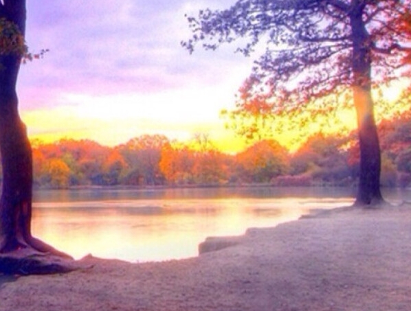 粉象生活详细介绍