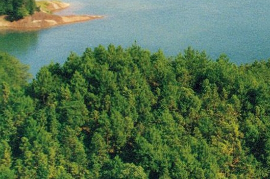 西安粉象科技有限公司