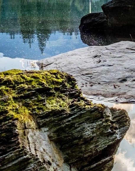 粉象生活能赚到钱吗