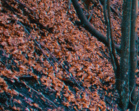 粉象生活如何分享到微信