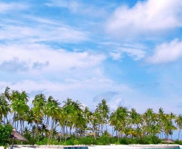 粉象生活赚钱是真的假的