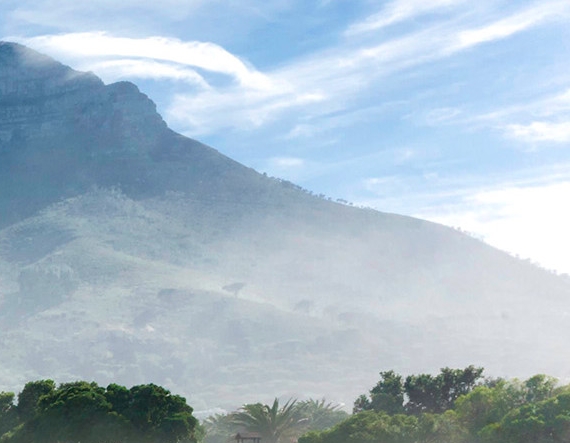 粉象生活和花生哪个好