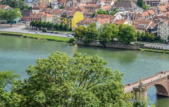 粉象生活能赚到钱吗