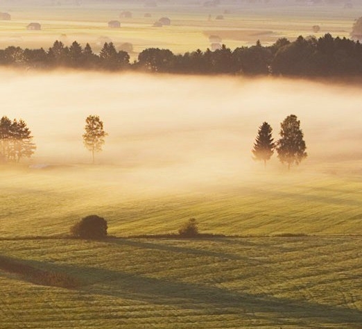 粉象生活兼职合作