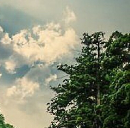 粉象生活邀请码