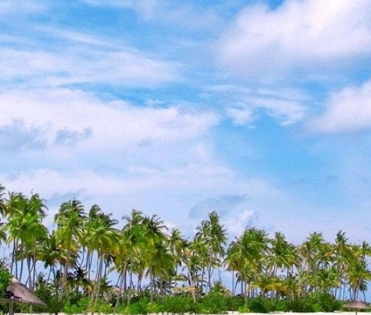 粉象生活怎么解除注册