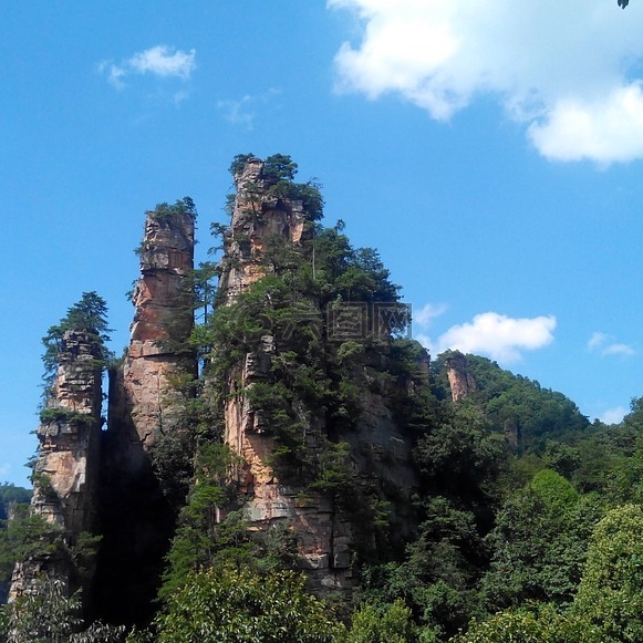 粉象生活淘宝商品