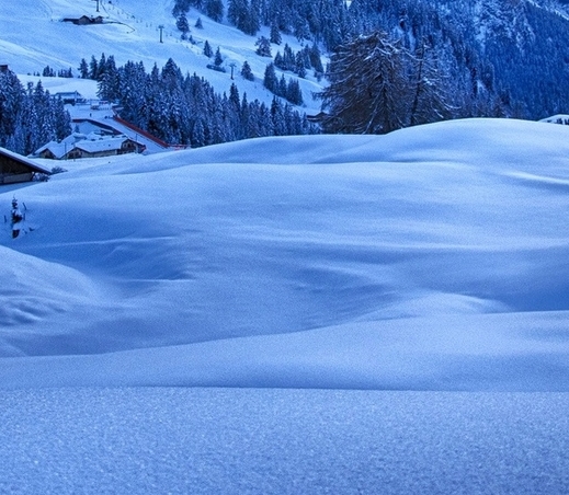 粉象生活操作视频