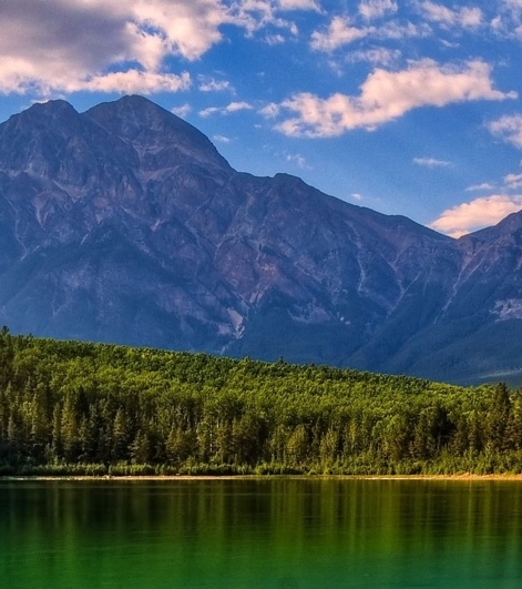 粉象生活邀请码填谁的最好