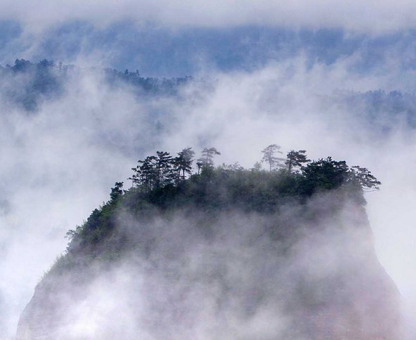 粉象生活开店在哪