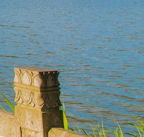 粉象生活粉丝积分是什么