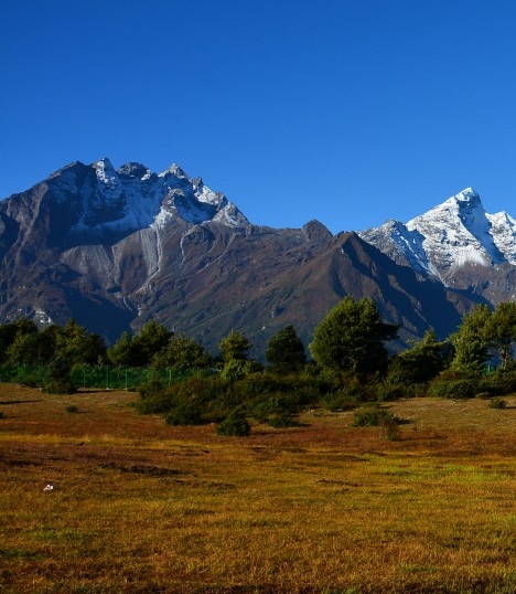 粉象生活邀请码