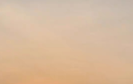 粉象生活邀请码