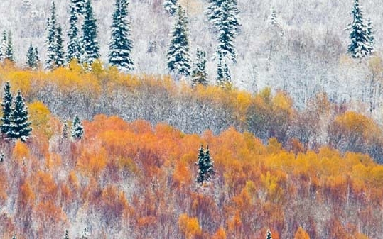 粉象生活怎么进账