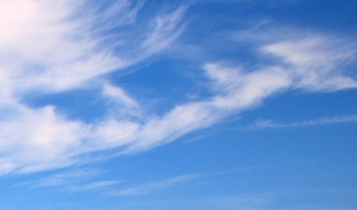 粉象生活怎么赚钱的