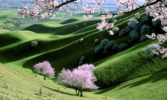 粉象生活能赚到钱吗