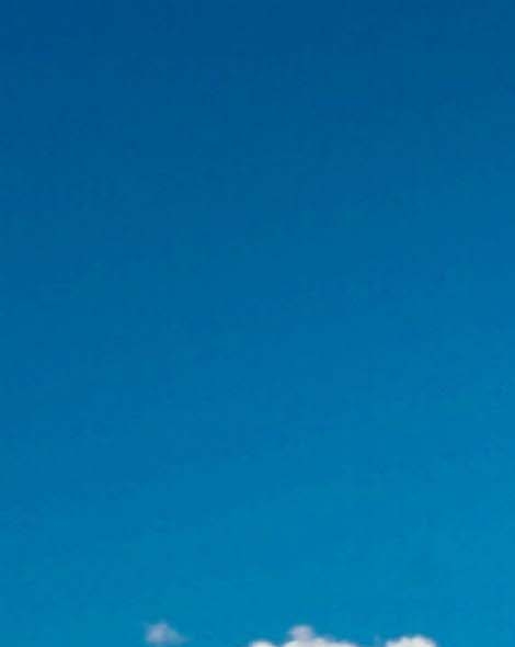 粉象生活官网app下载安装