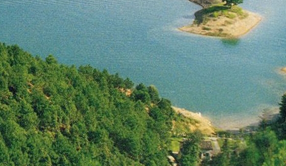 大白的粉象生活