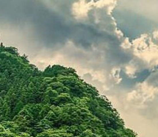 粉象生活能赚到钱吗