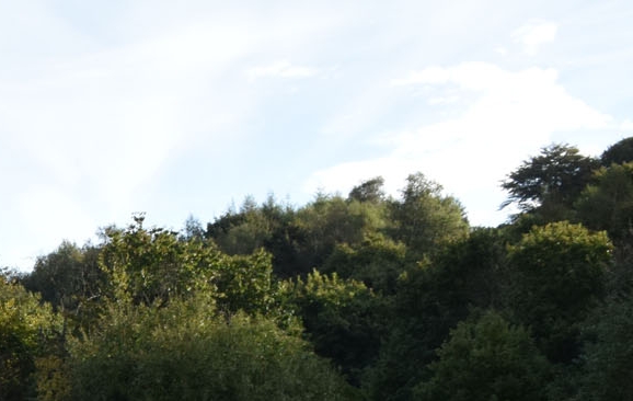 粉象生活新手怎么做