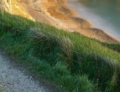 粉象生活邀请码