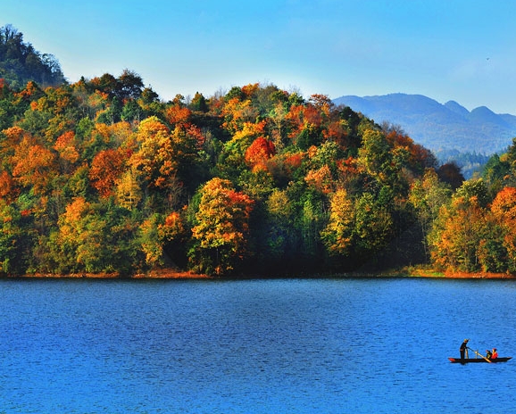 粉象生活真实收入