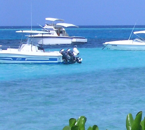 粉象生活怎么赚钱