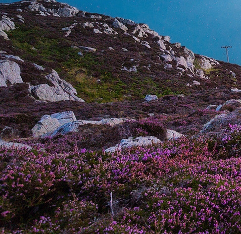 粉象生活可以赚钱吗