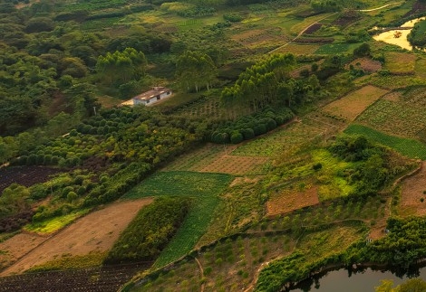 你们做粉象生活的收入