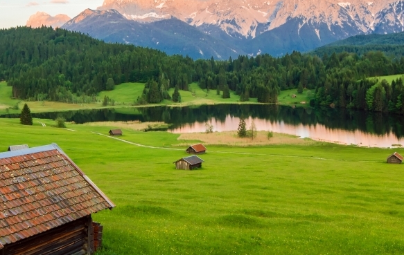 粉象生活新手教程视频