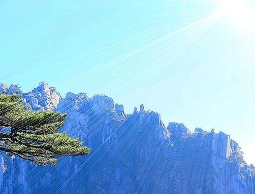 粉象生活模式合法吗