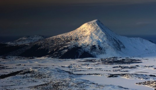 拼多多的豆浆粉是真的吗