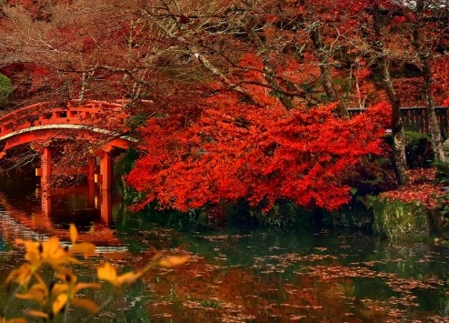 拉萨生活成本高吗