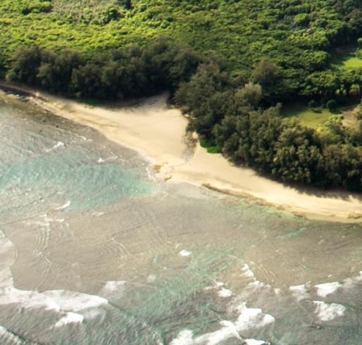 粉象生活下载app