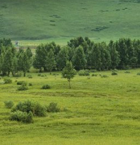 粉象生活一个月能赚多少钱