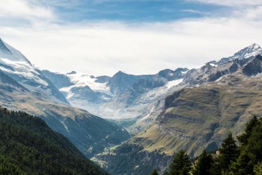 粉象生活下载app