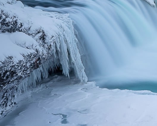 粉象生活怎么赚钱?操作一个月收入3