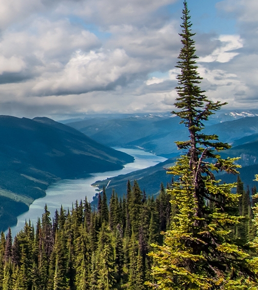 粉象生活邀请码是什么