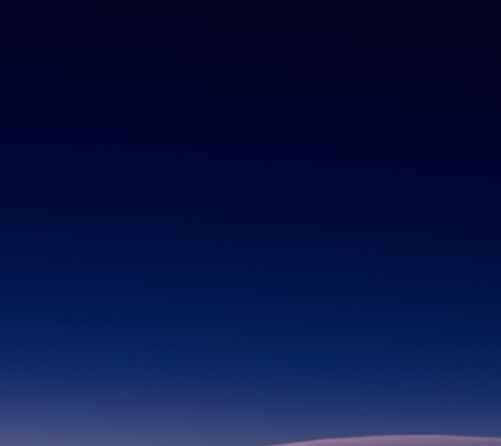 粉象生活公司背景