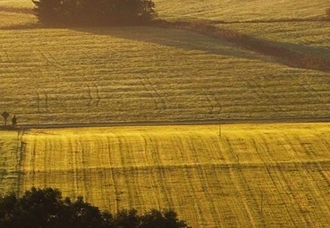 粉象生活怎么才能