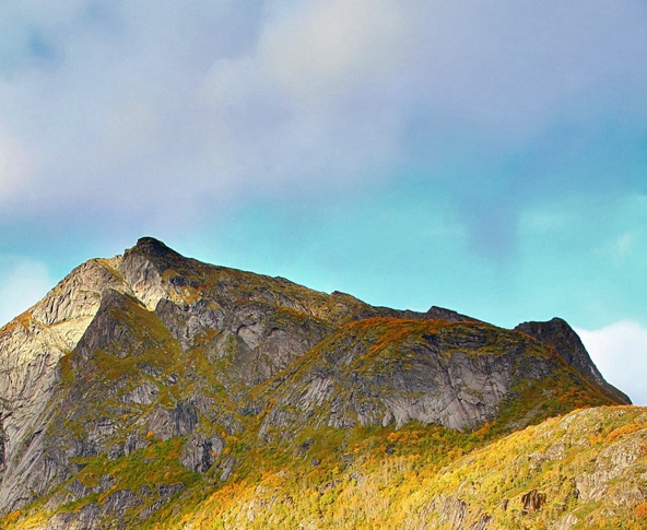 泛广告时代的幻象