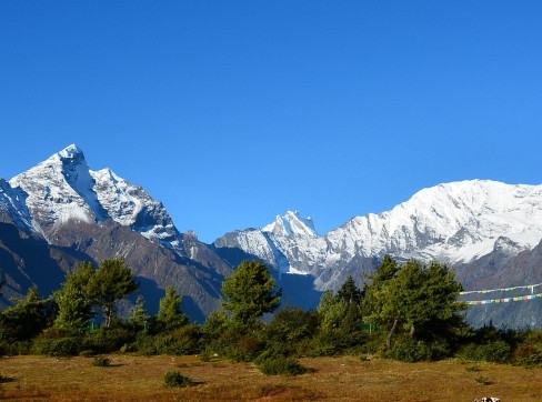 粉象生活需要交钱吗