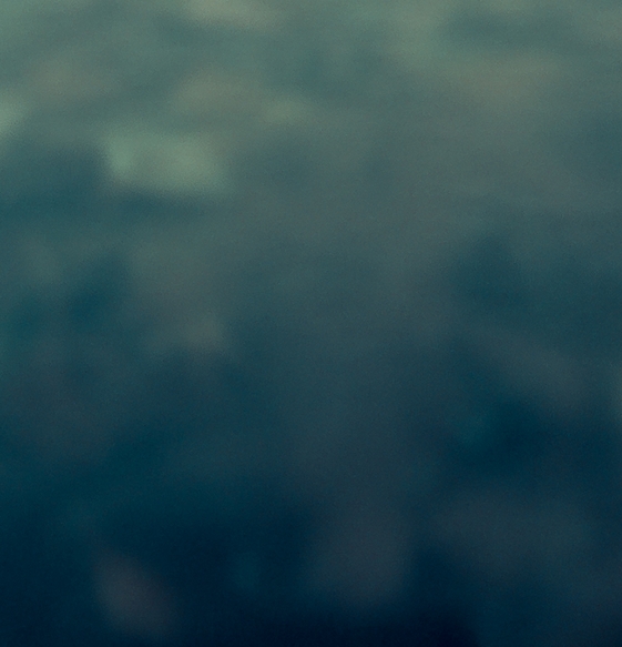 可靠的粉象生活邀请码