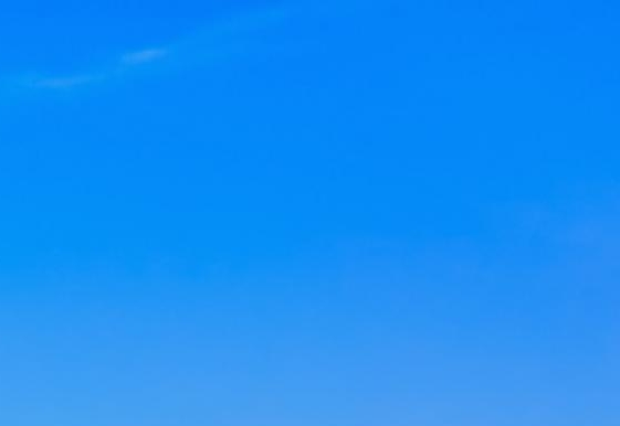 粉象生活招聘代理